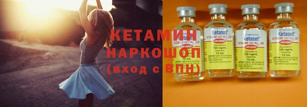 шишки Аркадак