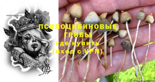 мескалин Армянск
