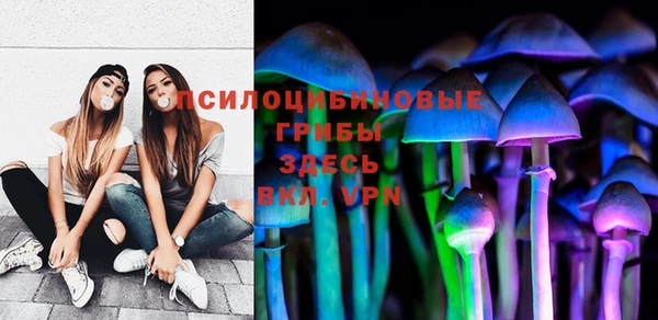 шишки Аркадак