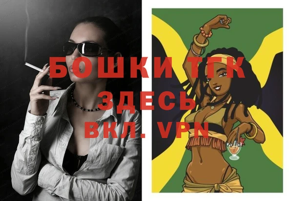 шишки Аркадак