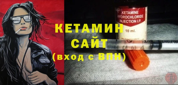 шишки Аркадак