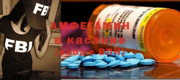шишки Аркадак