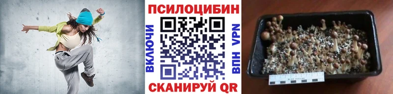 маркетплейс Telegram  Усолье-Сибирское  Псилоцибиновые грибы мицелий  где найти  